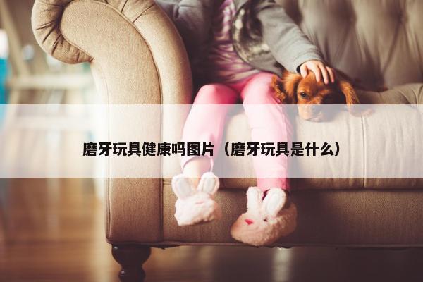 磨牙玩具健康吗图片（磨牙玩具是什么）