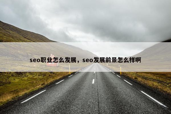 seo职业怎么发展，seo发展前景怎么样啊