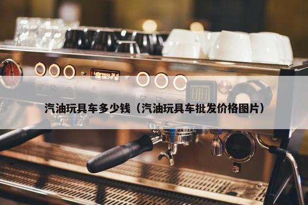 汽油玩具车多少钱（汽油玩具车批发价格图片）