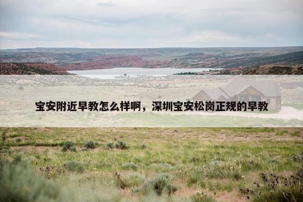 宝安附近早教怎么样啊，深圳宝安松岗正规的早教