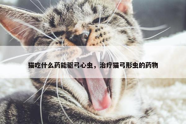 猫吃什么药能驱弓心虫，治疗猫弓形虫的药物