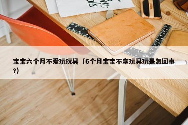 宝宝六个月不爱玩玩具（6个月宝宝不拿玩具玩是怎回事?）