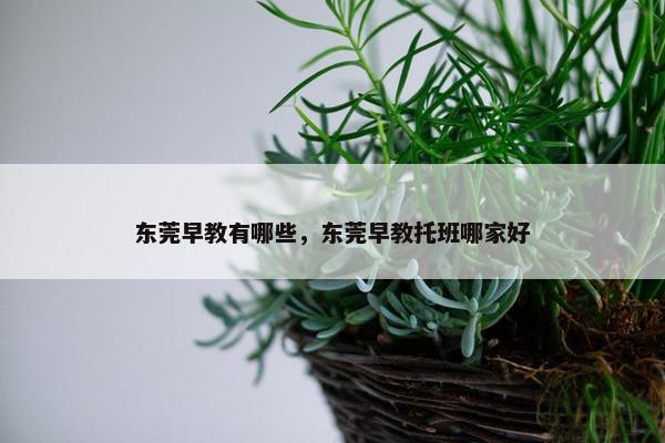 东莞早教有哪些，东莞早教托班哪家好