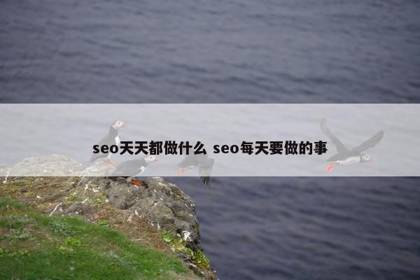 seo天天都做什么 seo每天要做的事