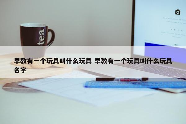 早教有一个玩具叫什么玩具 早教有一个玩具叫什么玩具名字