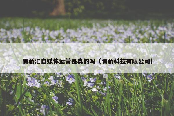 青骄汇自媒体运营是真的吗（青骄科技有限公司）