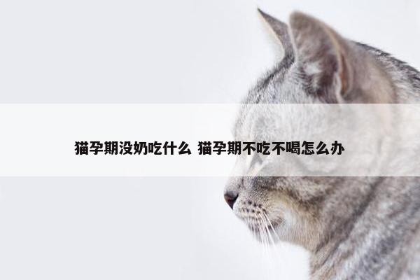 猫孕期没奶吃什么 猫孕期不吃不喝怎么办