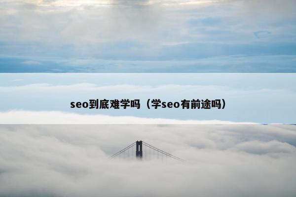 seo到底难学吗（学seo有前途吗）