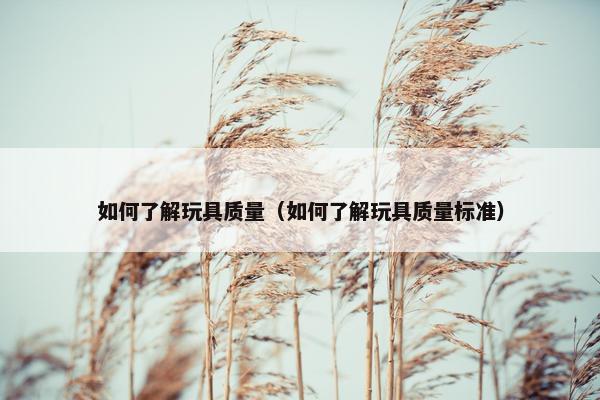 如何了解玩具质量（如何了解玩具质量标准）