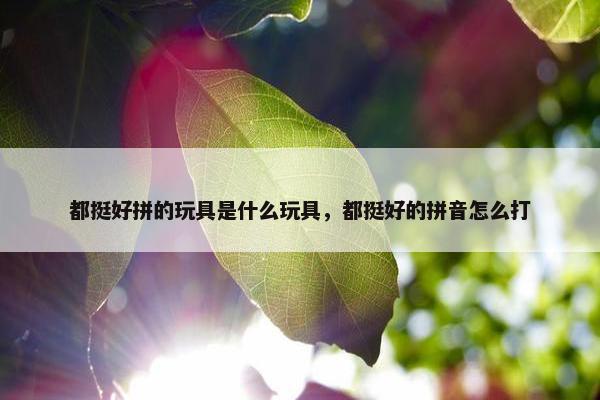 都挺好拼的玩具是什么玩具，都挺好的拼音怎么打