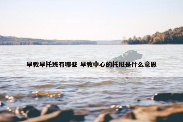 早教早托班有哪些 早教中心的托班是什么意思