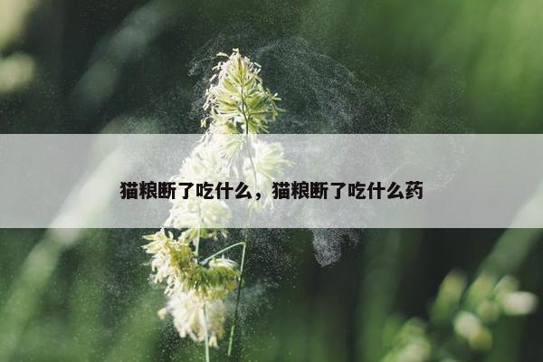 猫粮断了吃什么，猫粮断了吃什么药