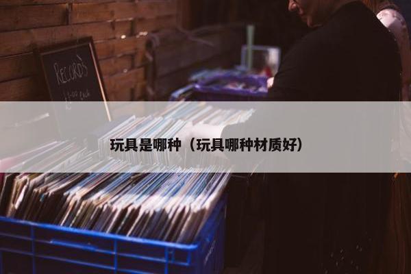 玩具是哪种（玩具哪种材质好）