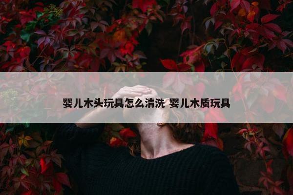 婴儿木头玩具怎么清洗 婴儿木质玩具