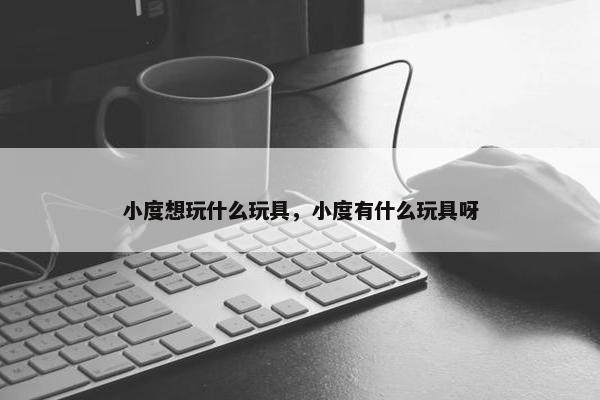 小度想玩什么玩具，小度有什么玩具呀