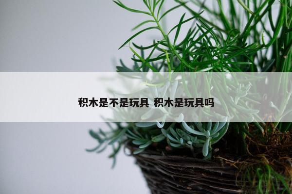 积木是不是玩具 积木是玩具吗