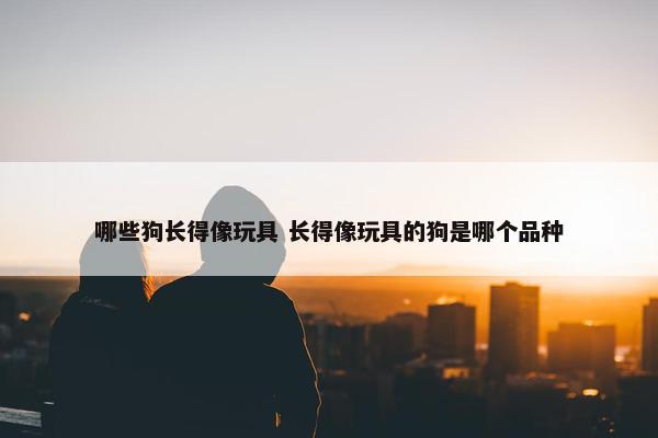 哪些狗长得像玩具 长得像玩具的狗是哪个品种