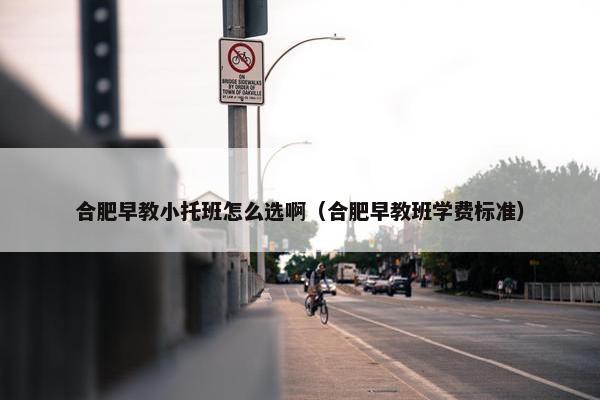 合肥早教小托班怎么选啊（合肥早教班学费标准）