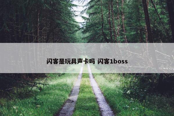 闪客是玩具声卡吗 闪客1boss