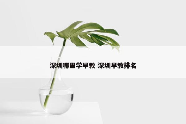 深圳哪里学早教 深圳早教排名