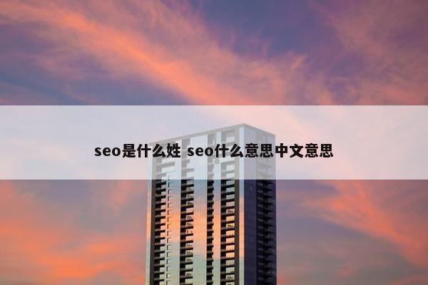 seo是什么姓 seo什么意思中文意思