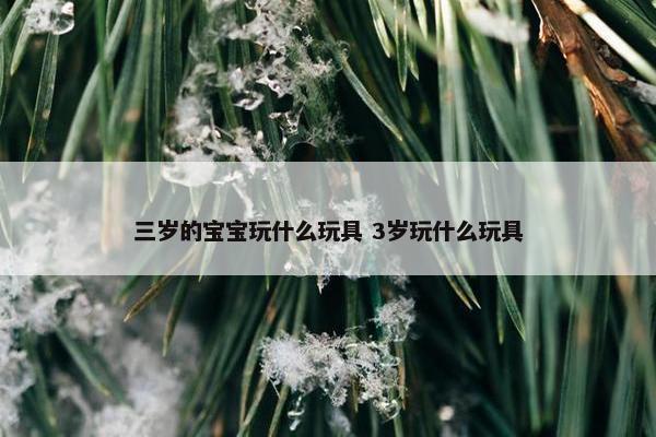 三岁的宝宝玩什么玩具 3岁玩什么玩具