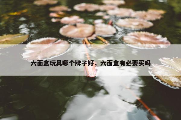 六面盒玩具哪个牌子好，六面盒有必要买吗