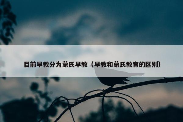 目前早教分为蒙氏早教（早教和蒙氏教育的区别）