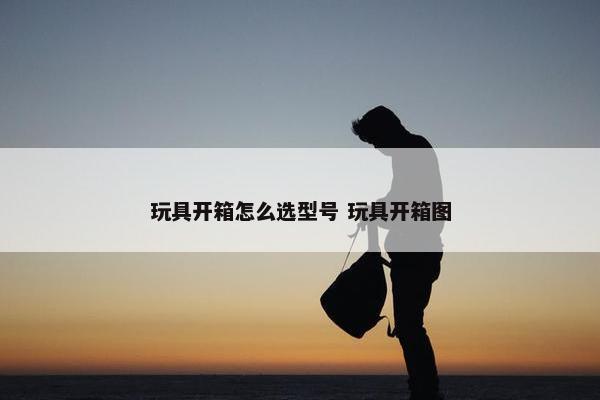 玩具开箱怎么选型号 玩具开箱图