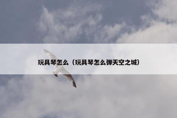 玩具琴怎么（玩具琴怎么弹天空之城）