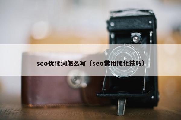 seo优化词怎么写（seo常用优化技巧）