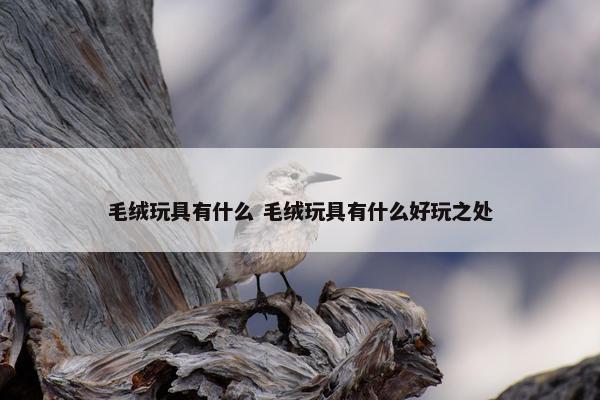 毛绒玩具有什么 毛绒玩具有什么好玩之处