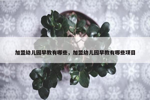 加盟幼儿园早教有哪些，加盟幼儿园早教有哪些项目