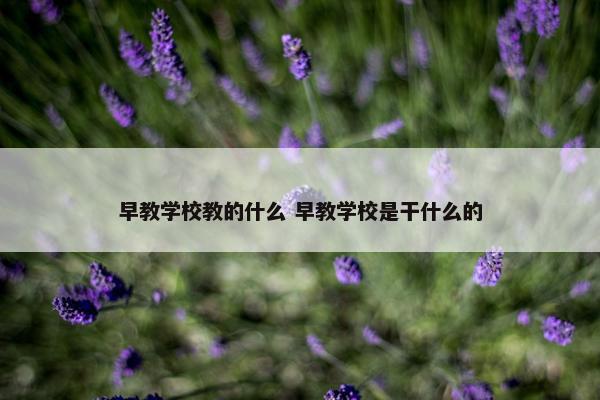 早教学校教的什么 早教学校是干什么的