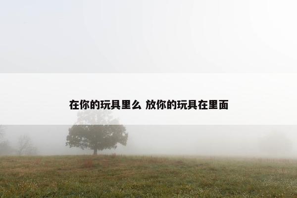 在你的玩具里么 放你的玩具在里面