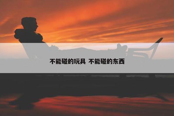 不能碰的玩具 不能碰的东西