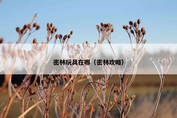 密林玩具在哪（密林攻略）