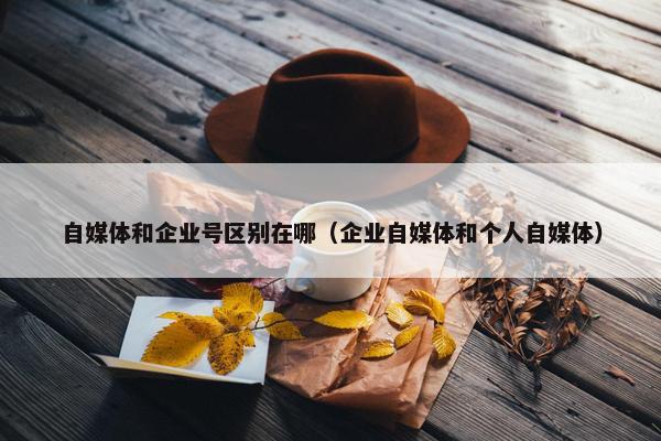 自媒体和企业号区别在哪（企业自媒体和个人自媒体）