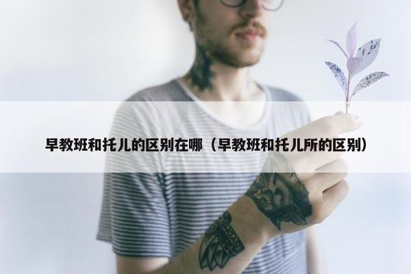 早教班和托儿的区别在哪（早教班和托儿所的区别）