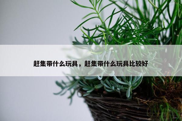 赶集带什么玩具，赶集带什么玩具比较好