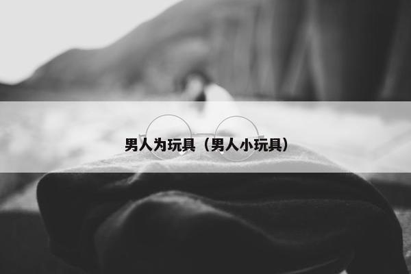 男人为玩具（男人小玩具）