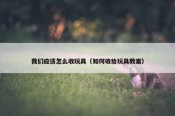 我们应该怎么收玩具（如何收拾玩具教案）