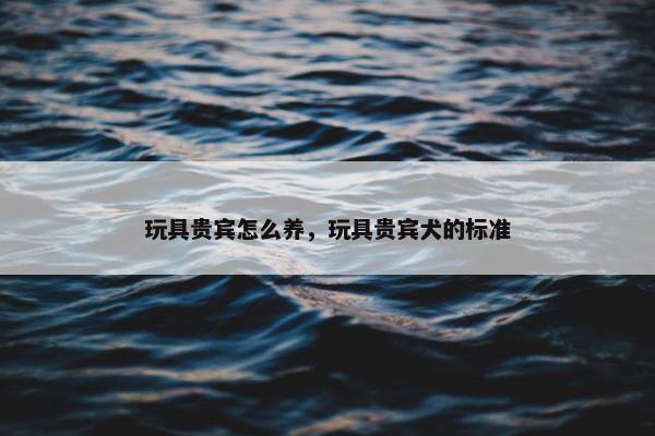 玩具贵宾怎么养，玩具贵宾犬的标准