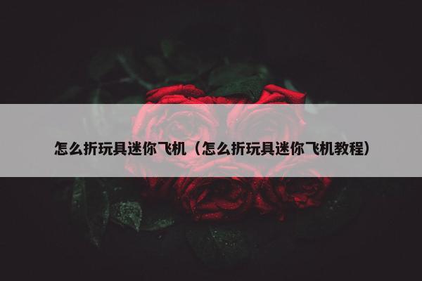 怎么折玩具迷你飞机（怎么折玩具迷你飞机教程）