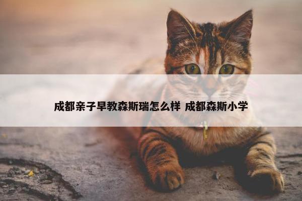 成都亲子早教森斯瑞怎么样 成都森斯小学