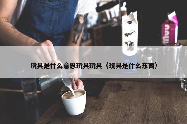 玩具是什么意思玩具玩具（玩具是什么东西）