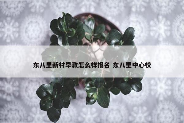 东八里新村早教怎么样报名 东八里中心校