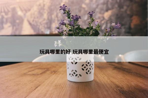 玩具哪里的好 玩具哪里最便宜