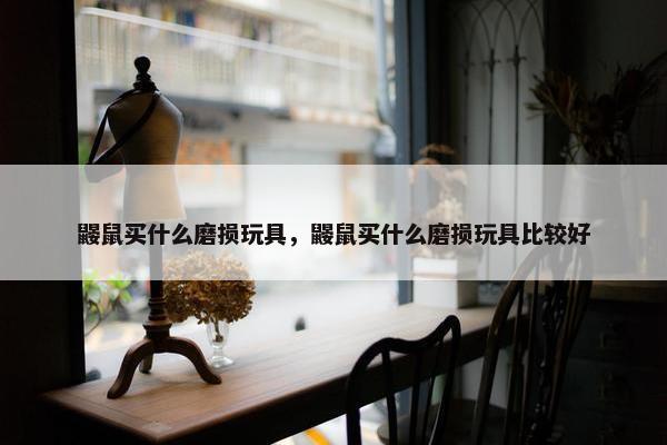 鼹鼠买什么磨损玩具，鼹鼠买什么磨损玩具比较好