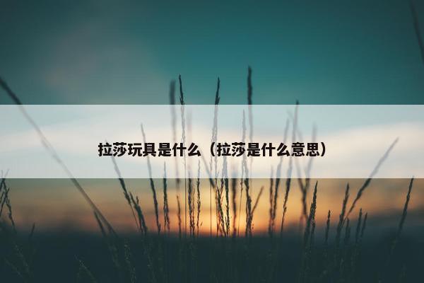 拉莎玩具是什么（拉莎是什么意思）